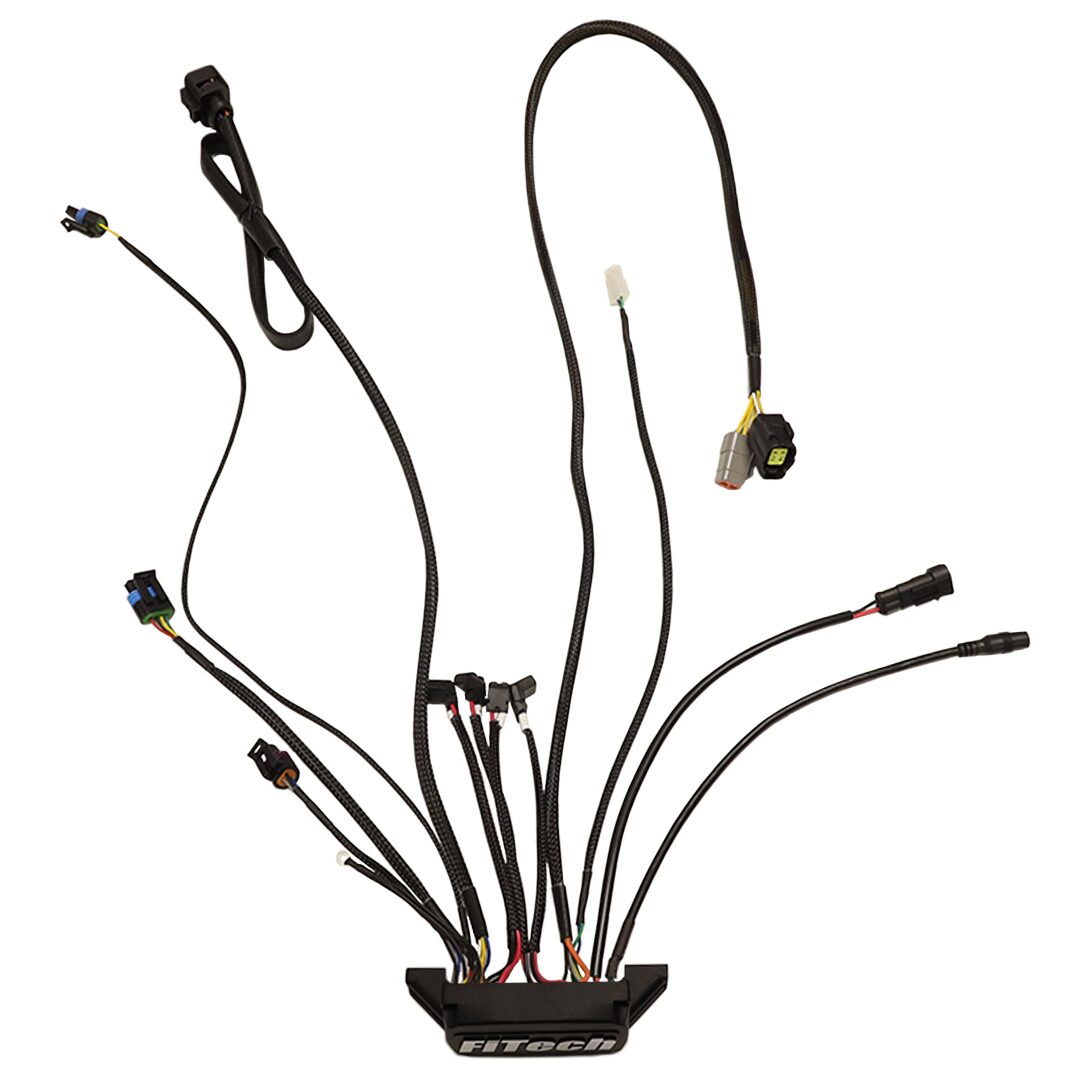 30002-1 Replacement ECU - Image 2