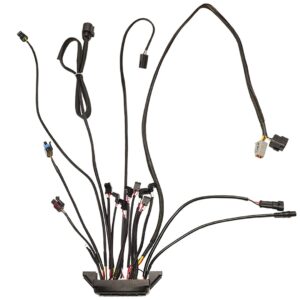 Alternative view of 30012-1 Replacement ECU