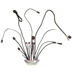 Alternative view of 30013-1 Replacement ECU