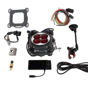 30014 Go Port EFI System Standalone