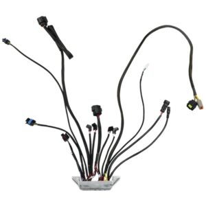 Alternative view of 30061-1 Replacement ECU