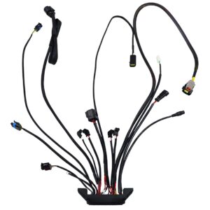 Alternative view of 30064-1 Replacement ECU