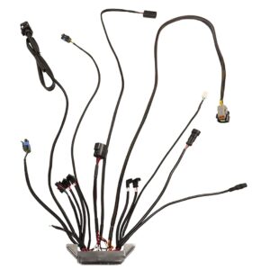 Alternative view of 30065-1 Replacement ECU