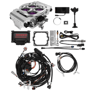Alternative view of 4500 1600 Nemesis HP EFI System