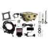 36620 Go EFI Classic Gold 650 HP EFI System With Go Fuel In-Tank Regulated Pump 340 LPH Master Kit