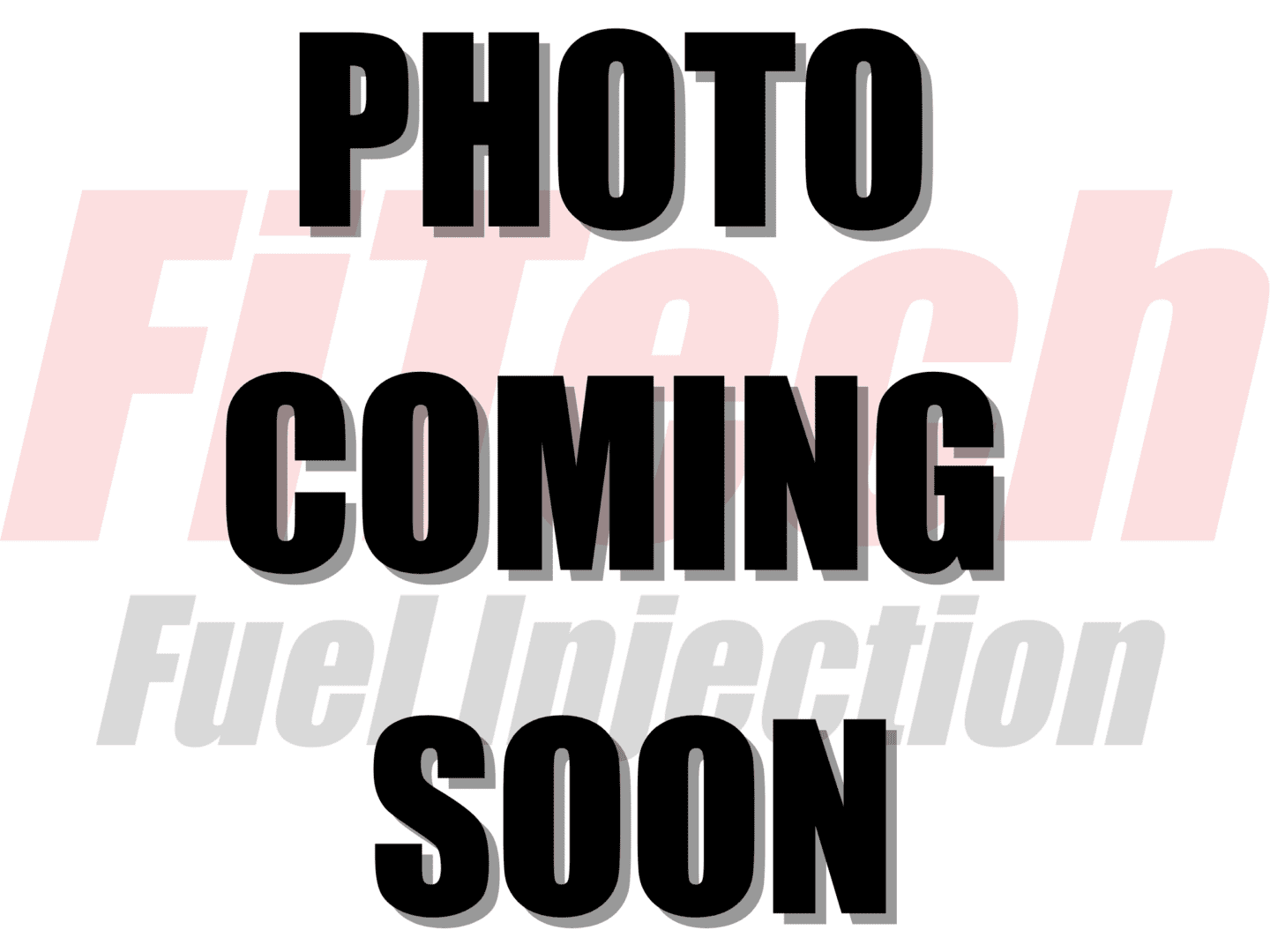 50104 Go Fuel In Tank 255 LPH Fuel Pump