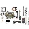 96205 Easy Street 600 HP Classic Gold EFI System With Go Fuel 340 LPH In-Tank & Go Spark CDI Box Master Kit
